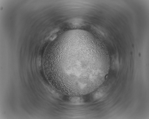 X0000063450230200601201228