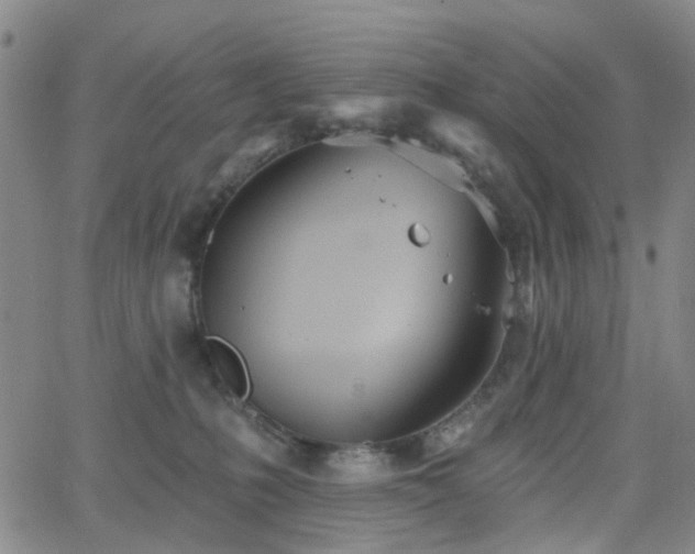 X0000063450231200601201228