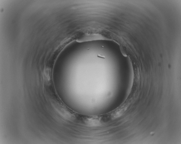 X0000063450232200601201228