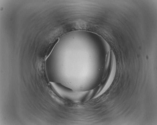 X0000063450233200601201228