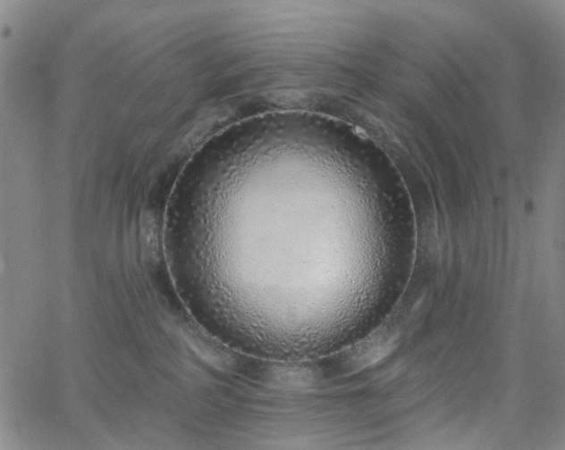 X0000063450234200601201228