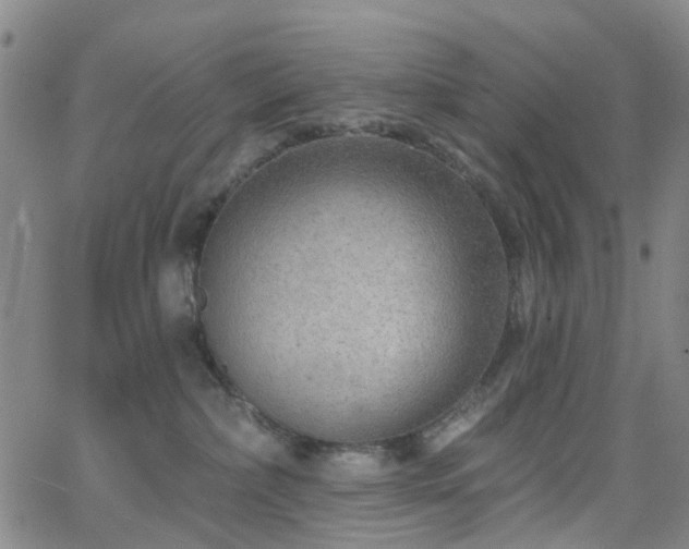 X0000063450236200601201228