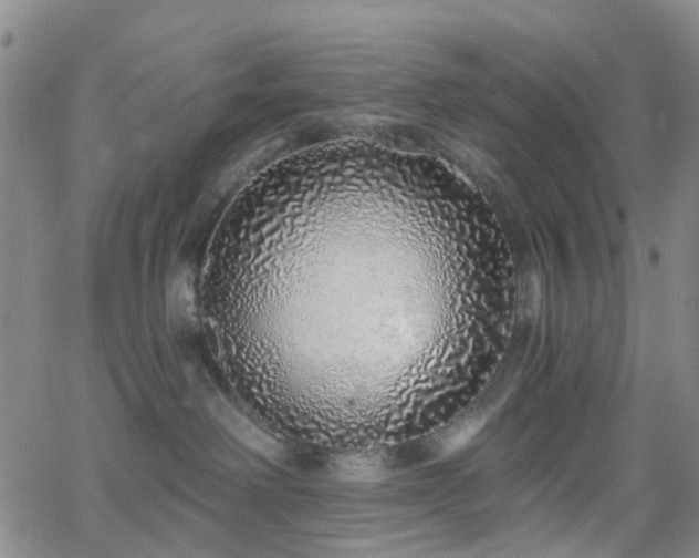 X0000063450238200601201228