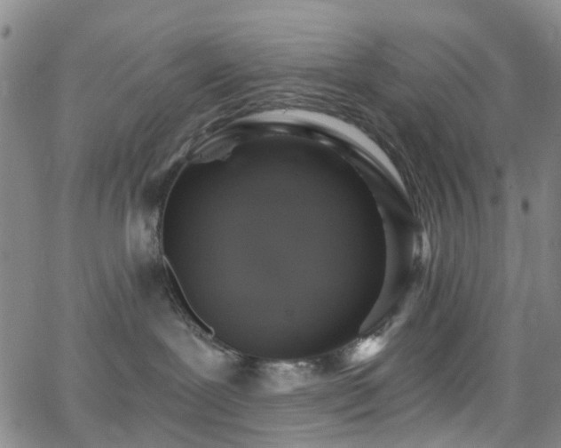 X0000063450239200601201228