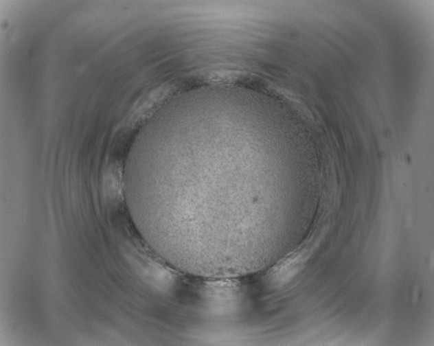 X0000063450240200601201228