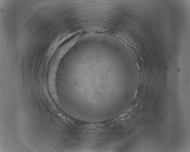 X0000063450241200601201227