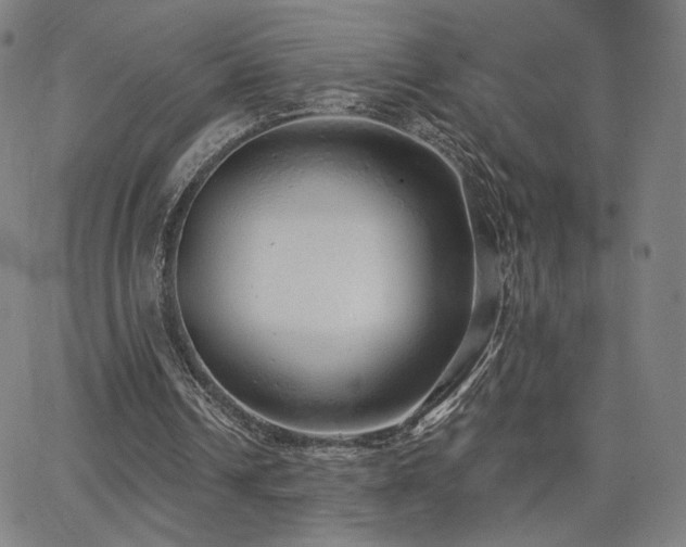 X0000063450242200601201227