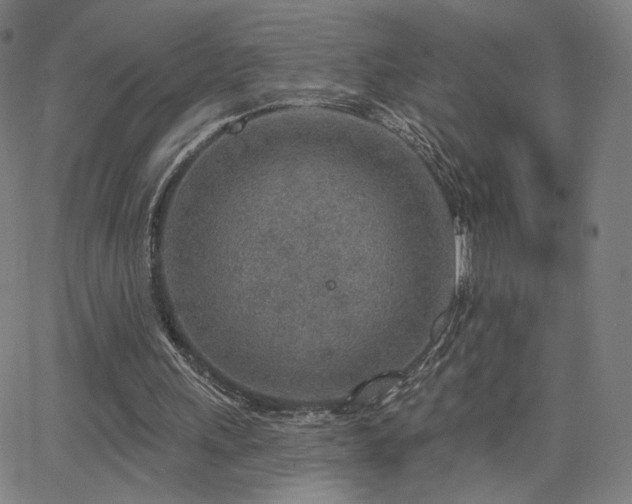 X0000063450243200601201227