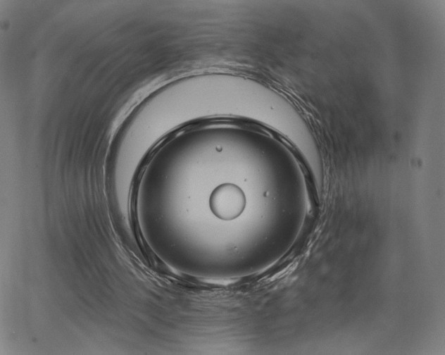 X0000063450244200601201227