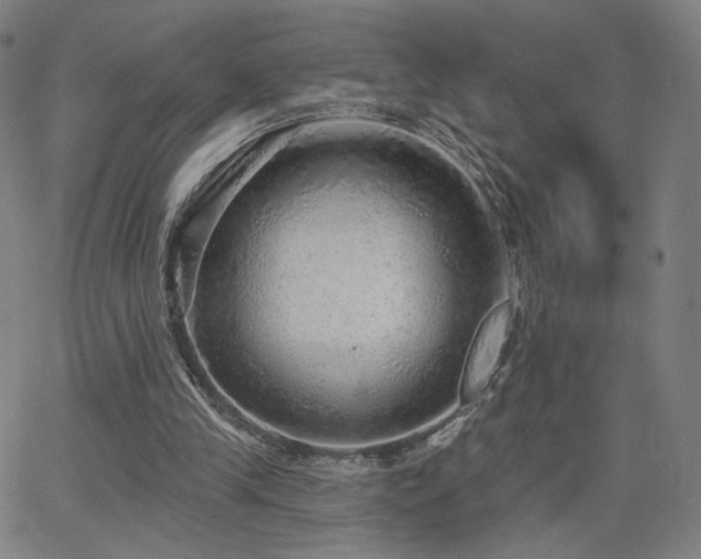 X0000063450245200601201227