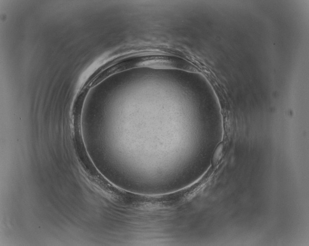 X0000063450246200601201227