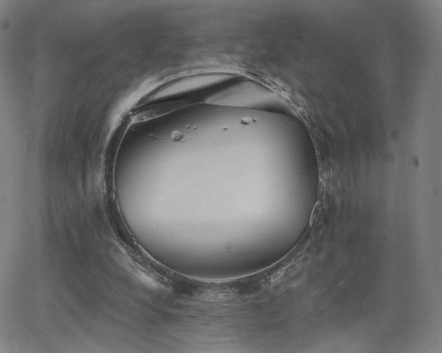 X0000063450248200601201228