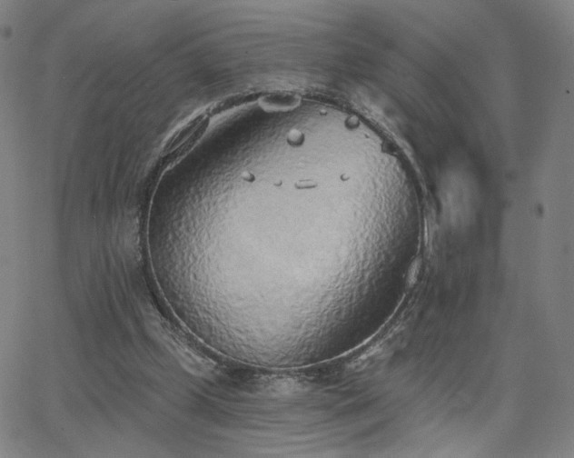 X0000063450249200601201228