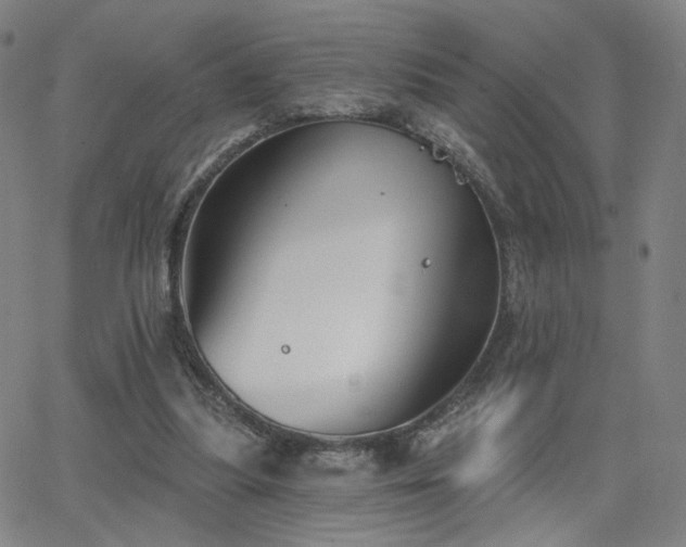 X0000063450251200601201228