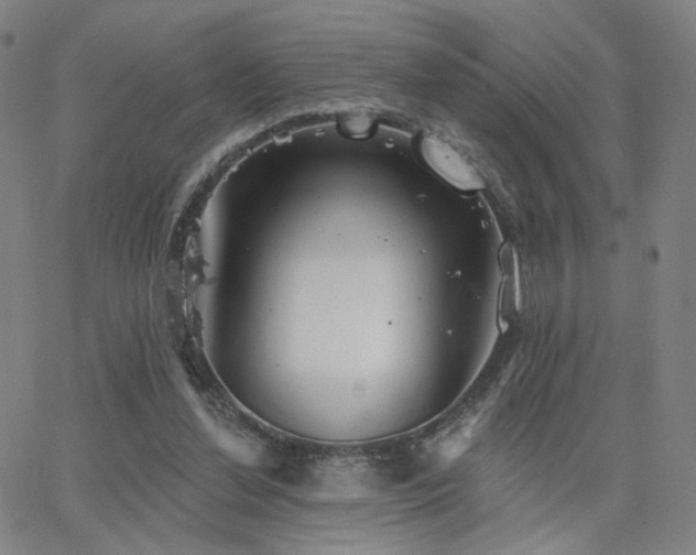 X0000063450252200601201228