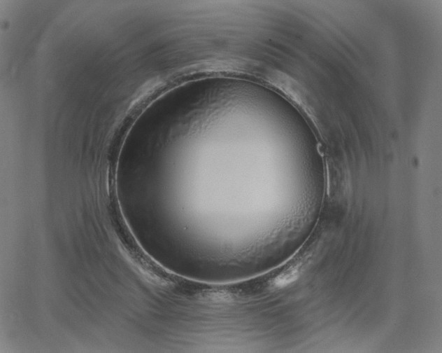 X0000063450253200601201228