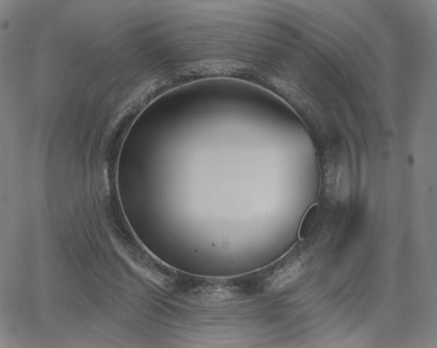 X0000063450254200601201228