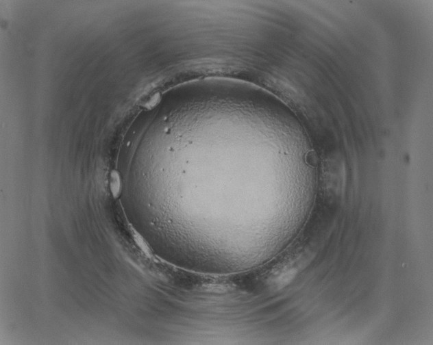 X0000063450255200601201228