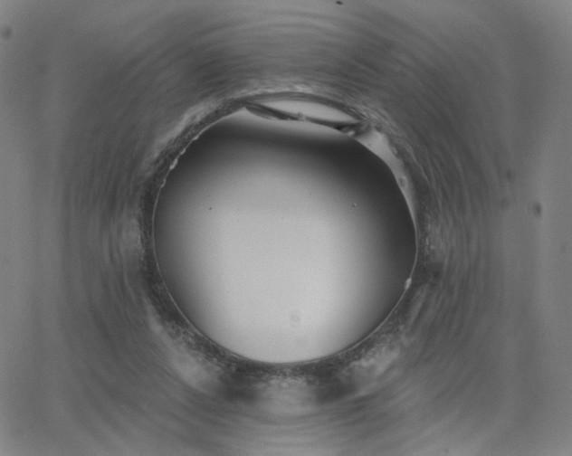 X0000063450256200601201228