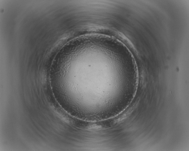 X0000063450257200601201228