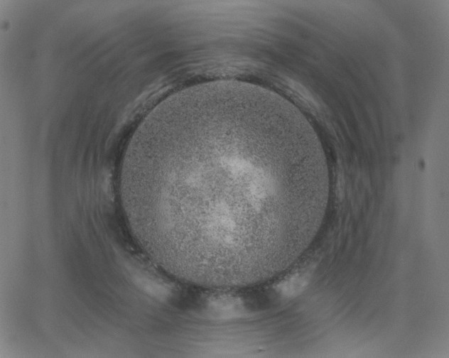 X0000063450258200601201228