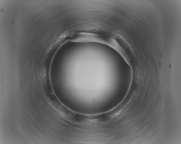 X0000063450260200601201228