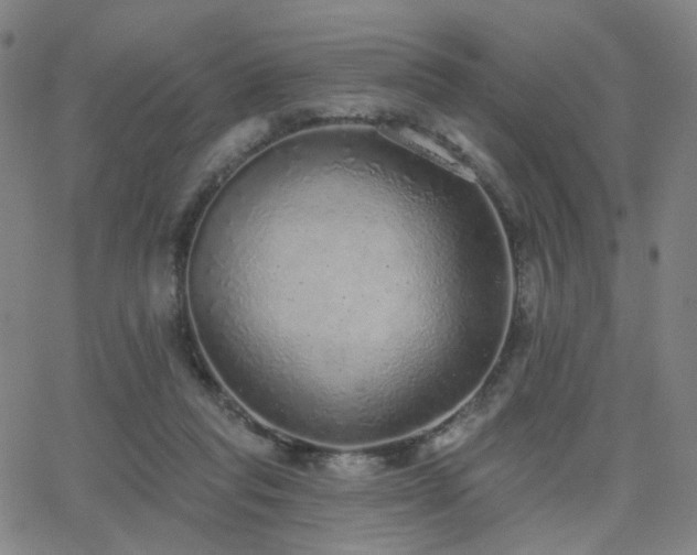 X0000063450261200601201228