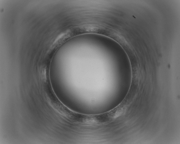 X0000063450262200601201228