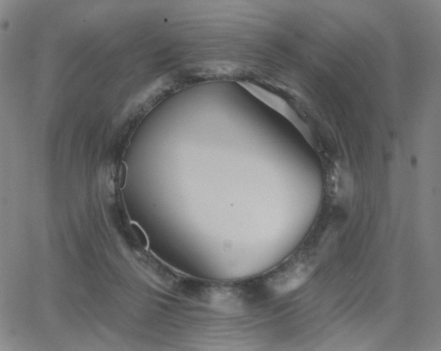 X0000063450264200601201228