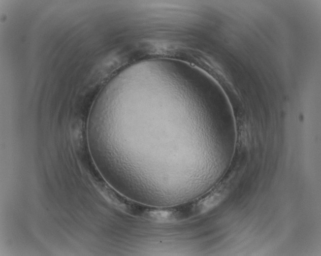 X0000063450265200601201228