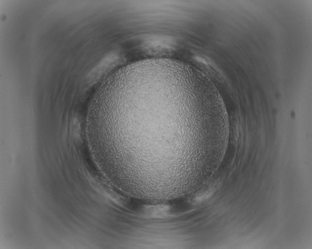 X0000063450266200601201228