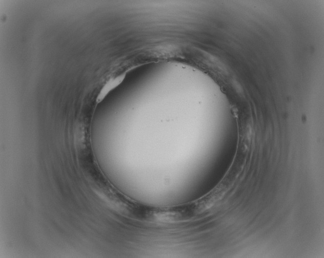 X0000063450268200601201228