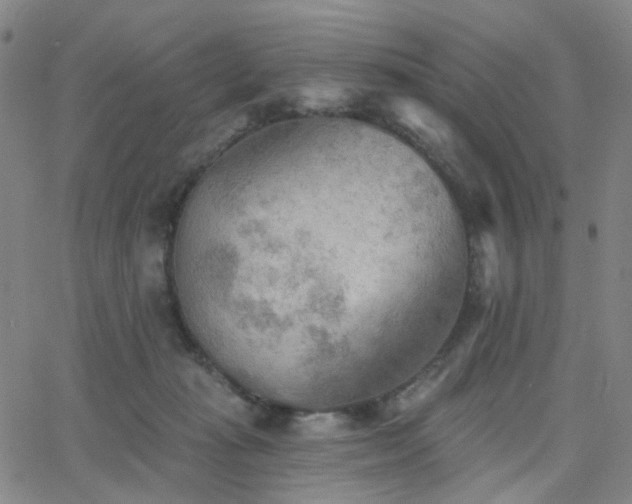 X0000063450269200601201228