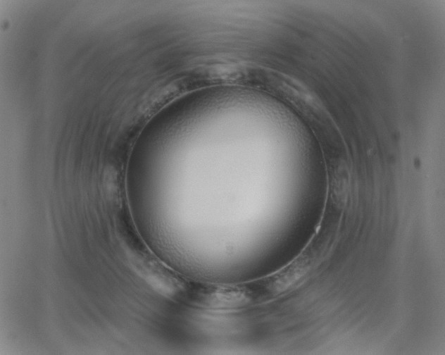 X0000063450270200601201228