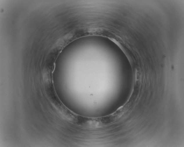 X0000063450272200601201228