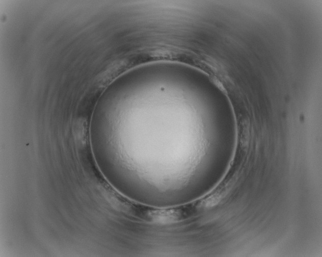 X0000063450273200601201228