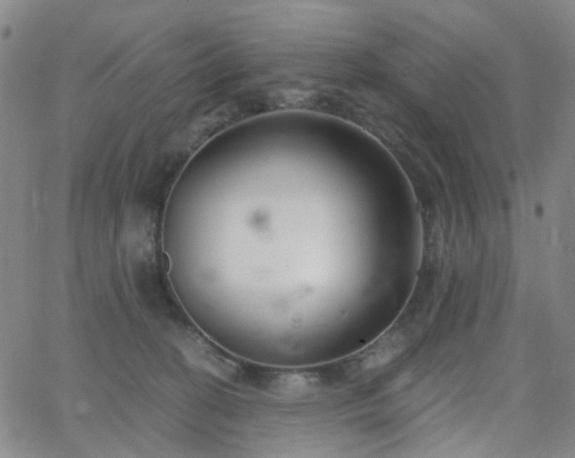 X0000063450274200601201228