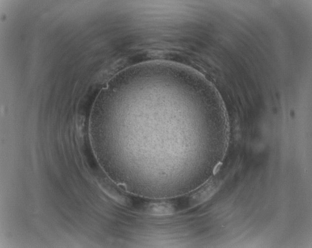 X0000063450275200601201228