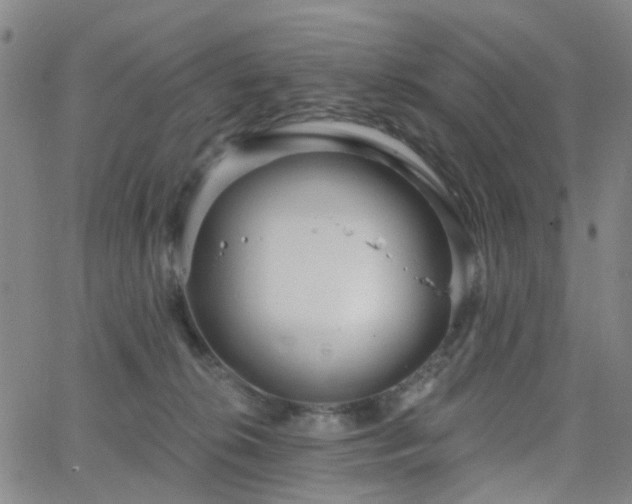 X0000063450276200601201228