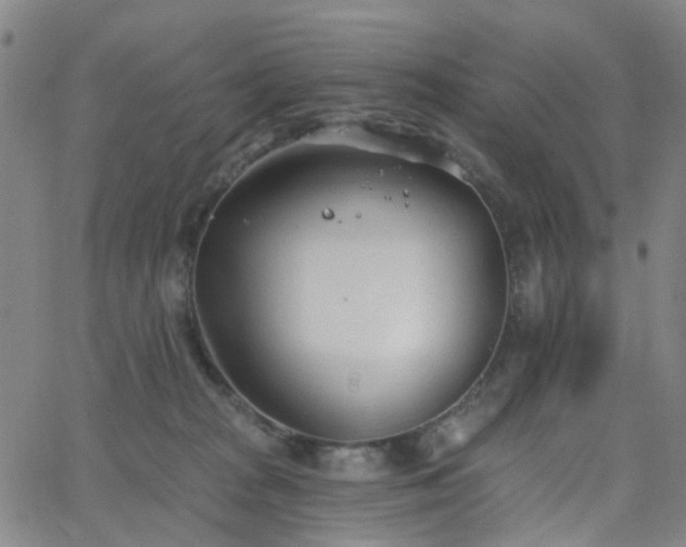 X0000063450277200601201228