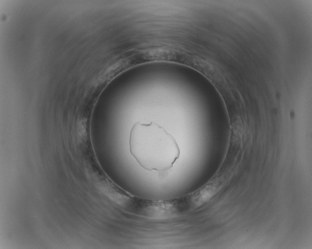 X0000063450278200601201228