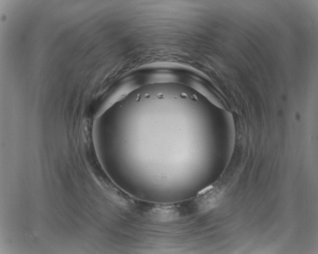 X0000063450280200601201228