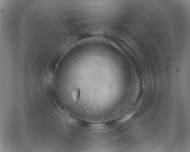 X0000063450281200601201228