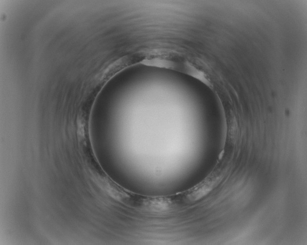 X0000063450282200601201228