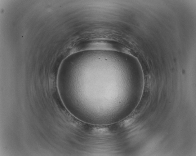 X0000063450283200601201228