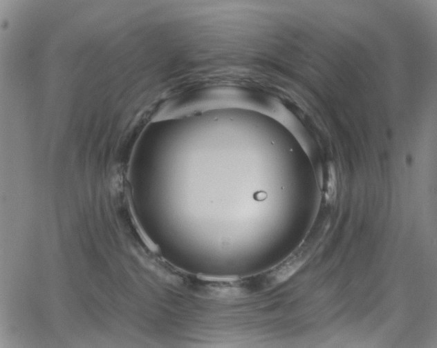 X0000063450284200601201228