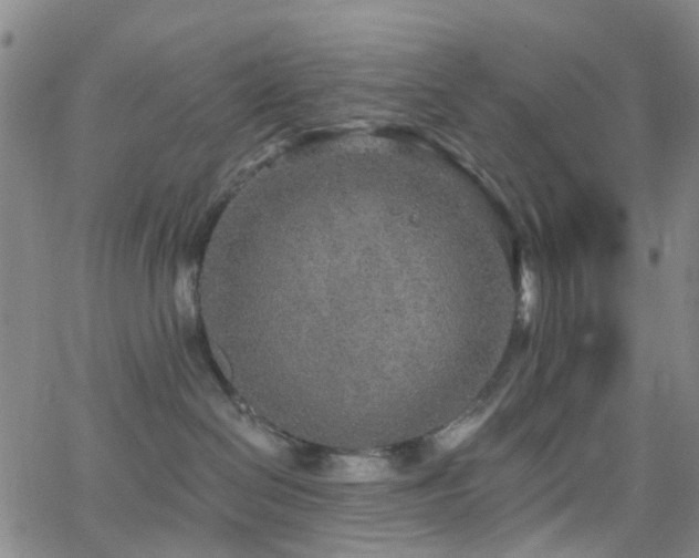 X0000063450286200601201228