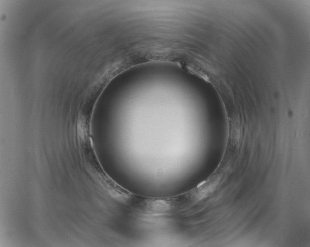 X0000063450287200601201228