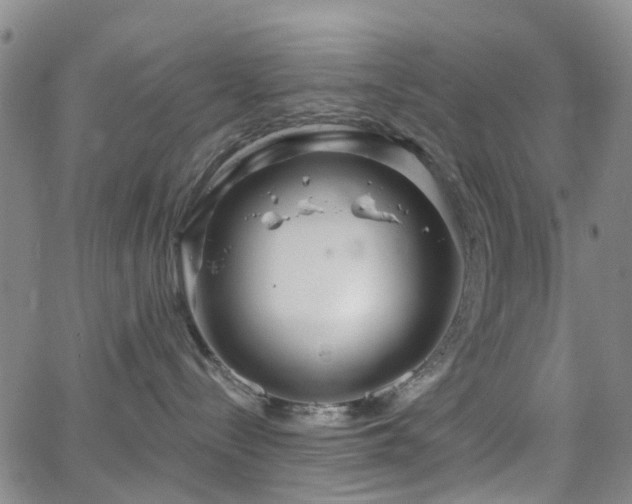 X0000063450288200601201228