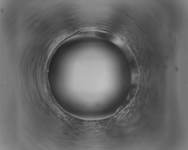 X0000063450289200601201227